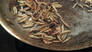 Illustration for article titled I ate fried caterpillars—and so can you
